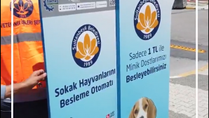 Sultanbeyli Belediyesi sokak hayvanları için mamamatikler yerleştiriyor