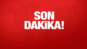 Bakan Yerlikaya: Muğla, İzmir, Çanakkale ve Tekirdağ'da düzenlenen operasyonlarda 85