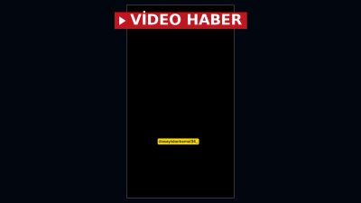 Başakşehir'deki bir sitede kedi besleme nedeniyle çıkan tartışmada mama kaplarına