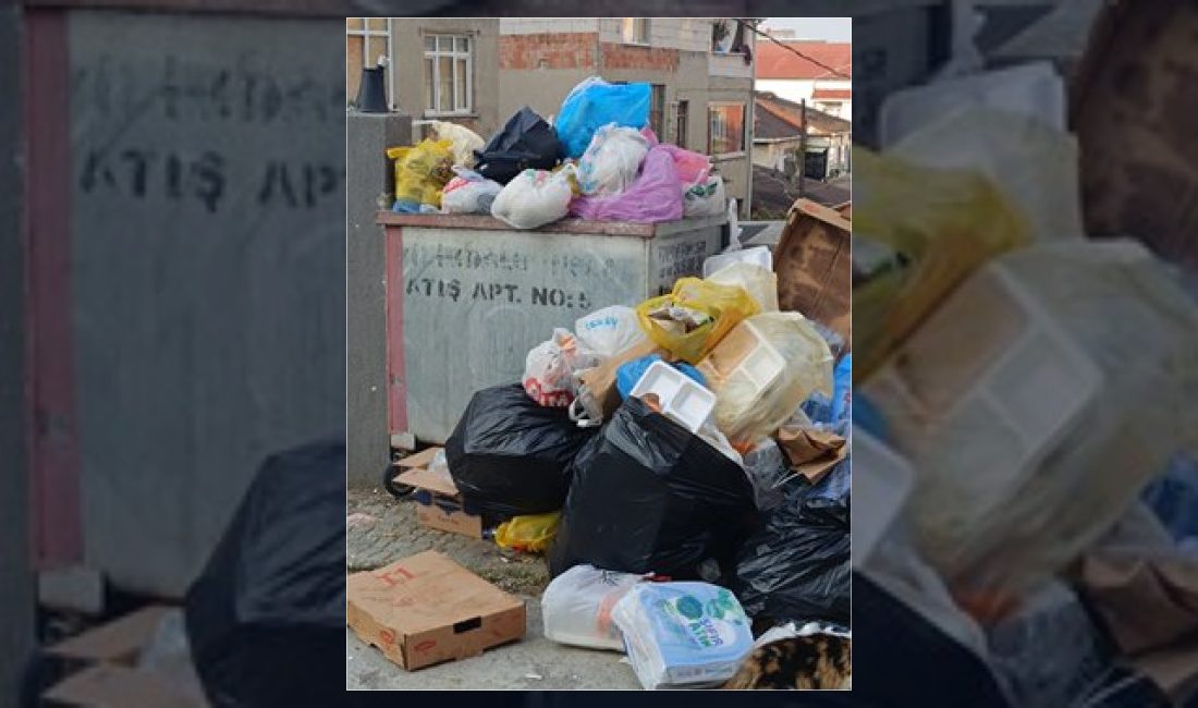 İstanbul Kartal'da Hürriyet Mahallesi Güney Sokak'ta çöp konteynerlerinin dolması ve